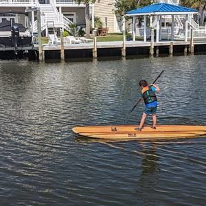 Meet your Posher, Ginger